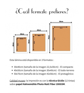 Daniel montero para 180hilos